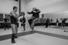 Thumbs/tn_DS3_1719 sw.jpg